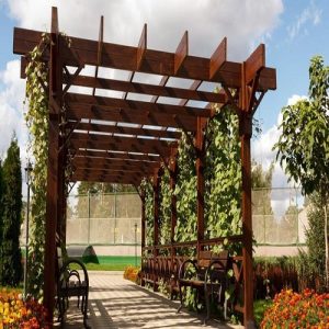 PERGOLA